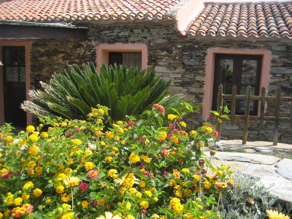 La Chintana Villa Palmadula Exterior photo